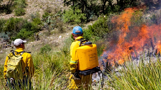 Two men in special outfits dousing fire on a hill side