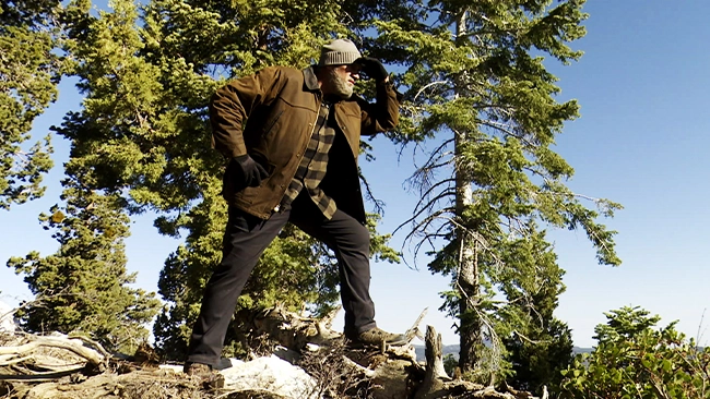 A man standing with his foot on a fallen tree staring out in to the distance with a gorgeous view behind him